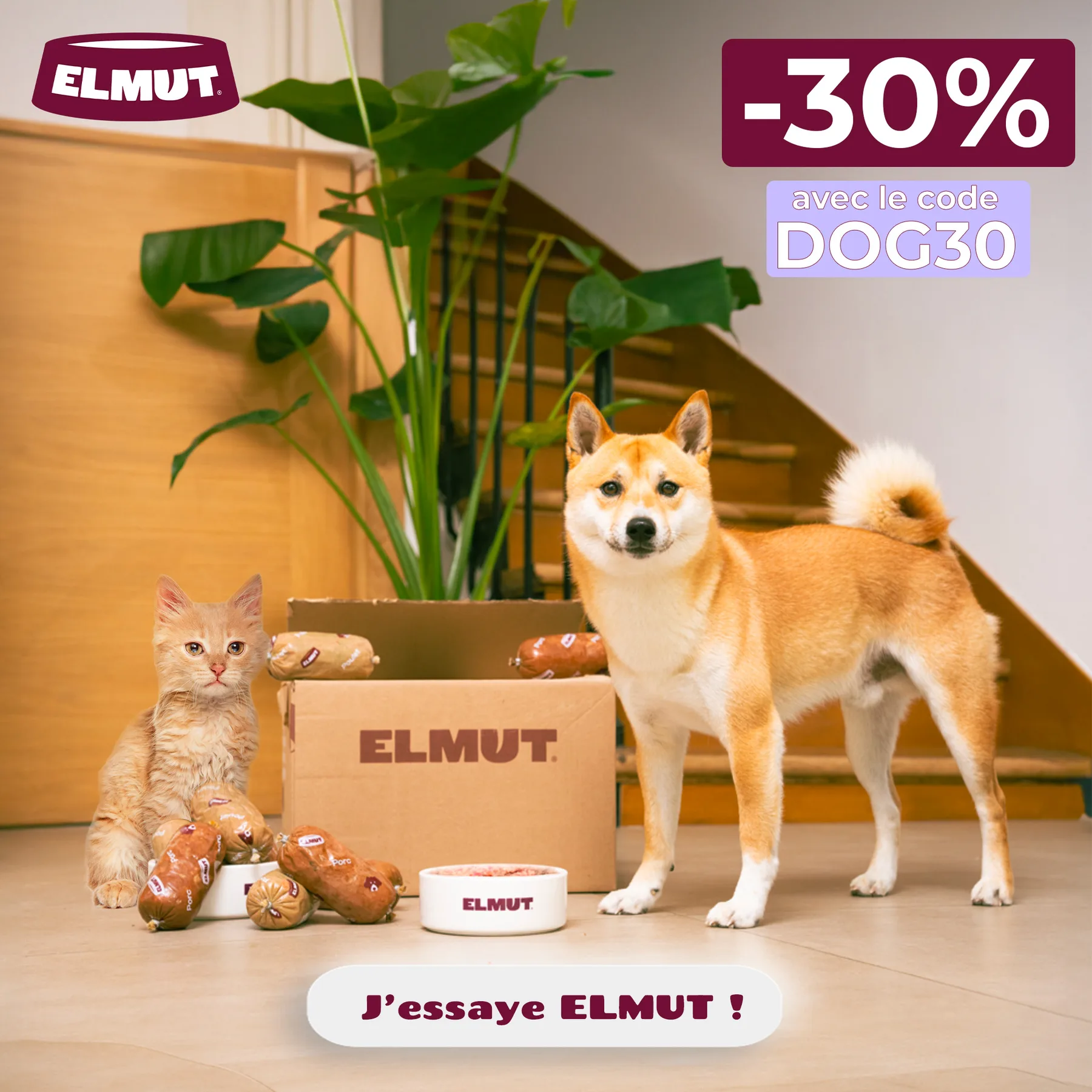 Visuel publicitaire Elmut numéro 2