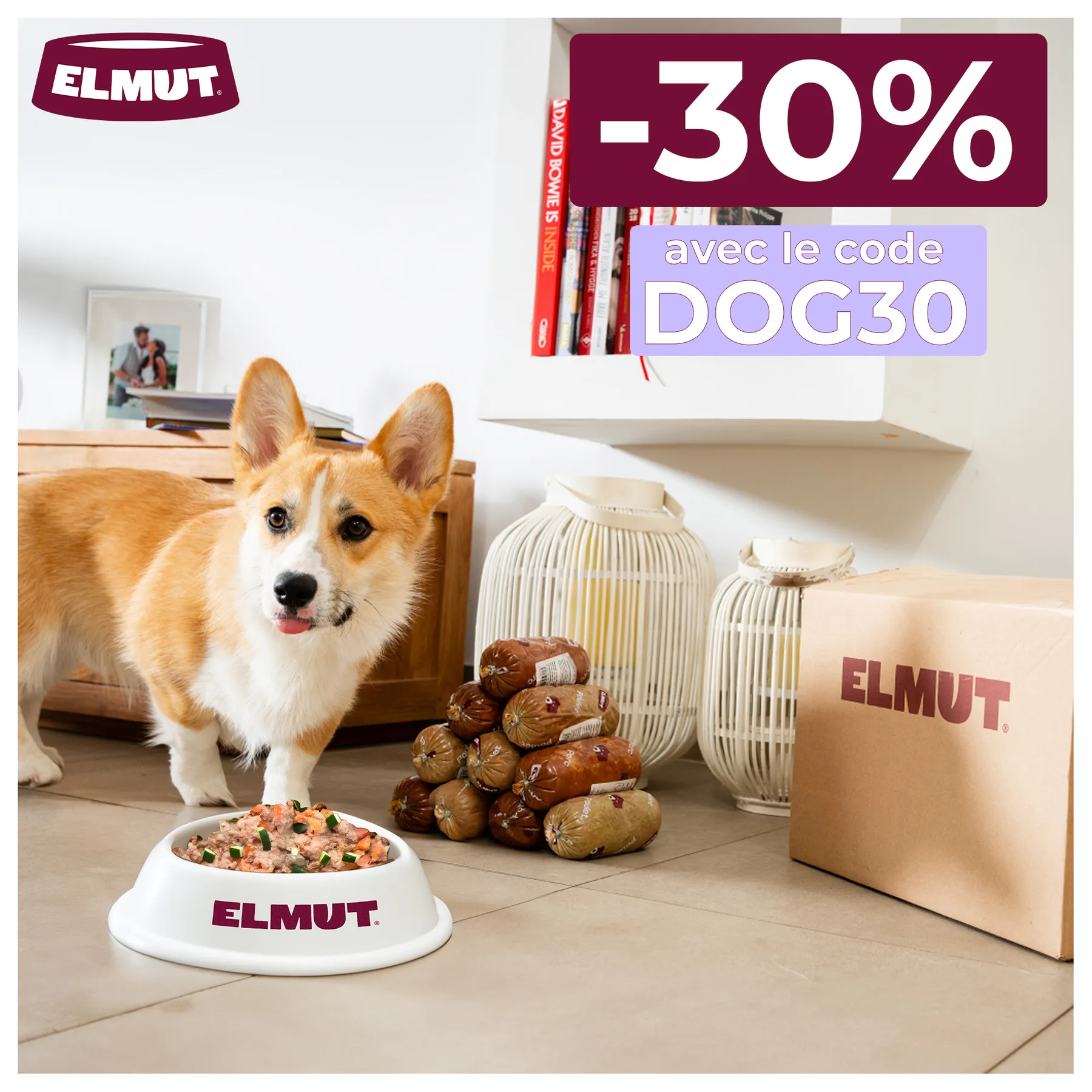 Visuel publicitaire Elmut numéro 3